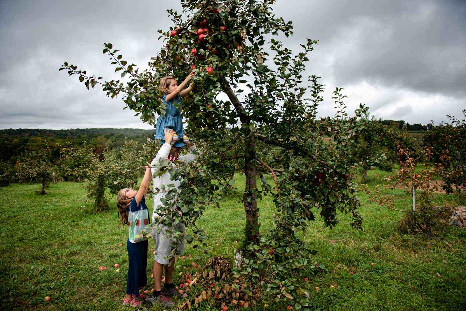 Environmental Land Portraits