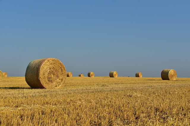 Photography techniques for land listings: land Preparation